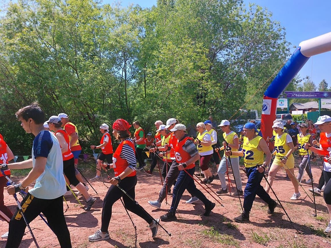 Жители Братского района приняли участие в фестивале «Марафон северной ходьбы»
