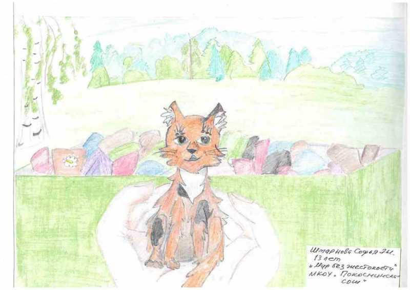 Муниципальный конкурс детских рисунков "Все меньше окружающей природы, все больше окружающей среды". Номинация "Животные в городе". Темы: "Мы можем им помочь", "Мир без жестокости"