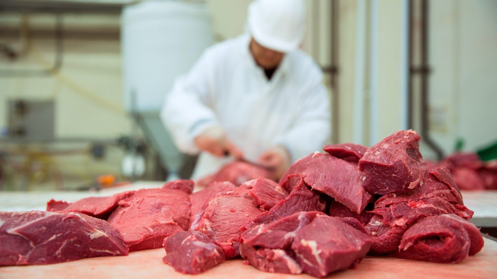 О проведении месячника качества и безопасности мяса и иной продукции животного происхождения на территории Иркутской области в 2020 году