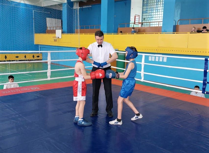 Открытое Первенство по боксу собрало 76 спортсменов в Братском районе