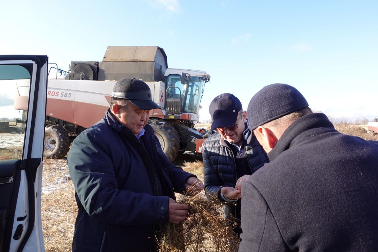 На полях Братского района уже собрали более 81 % зерновых культур. Сюжет БСТ