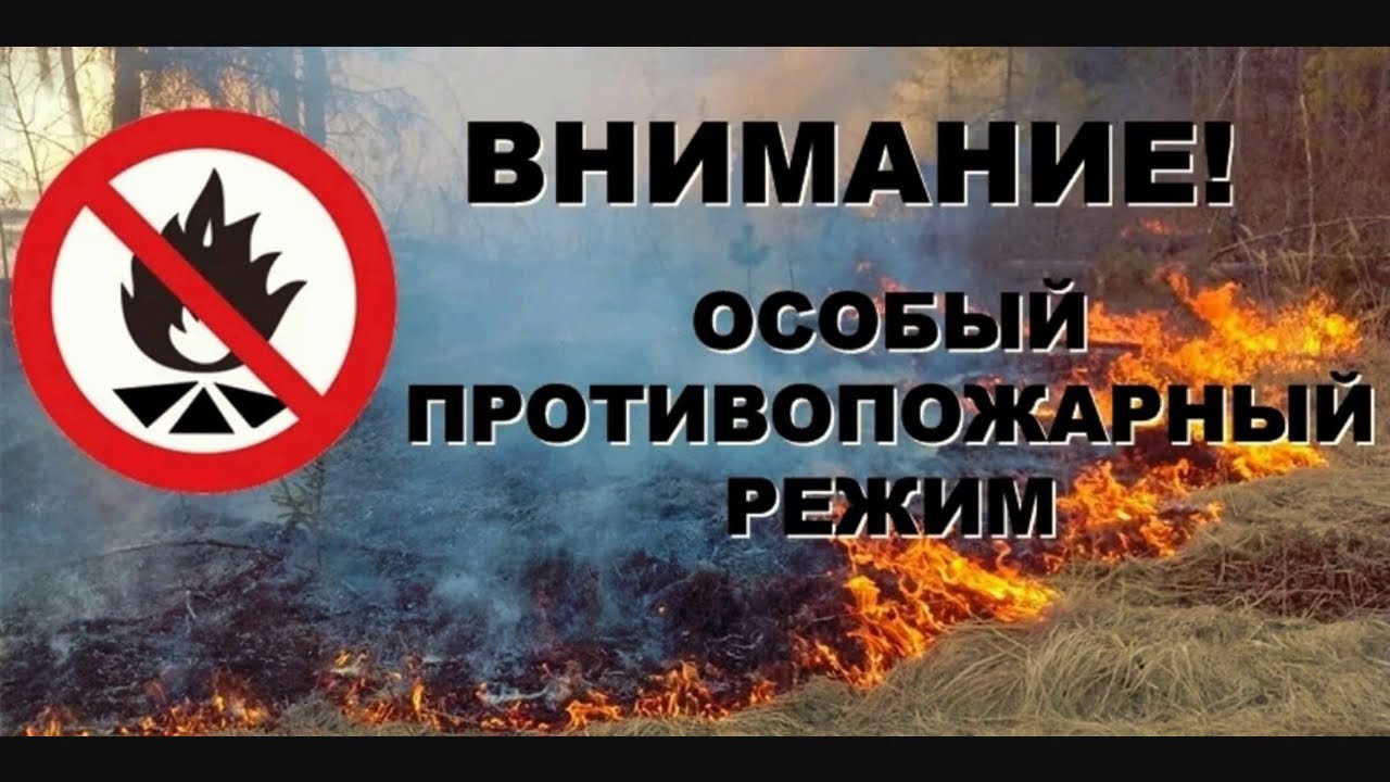 В Иркутской области введен особый противопожарный режим