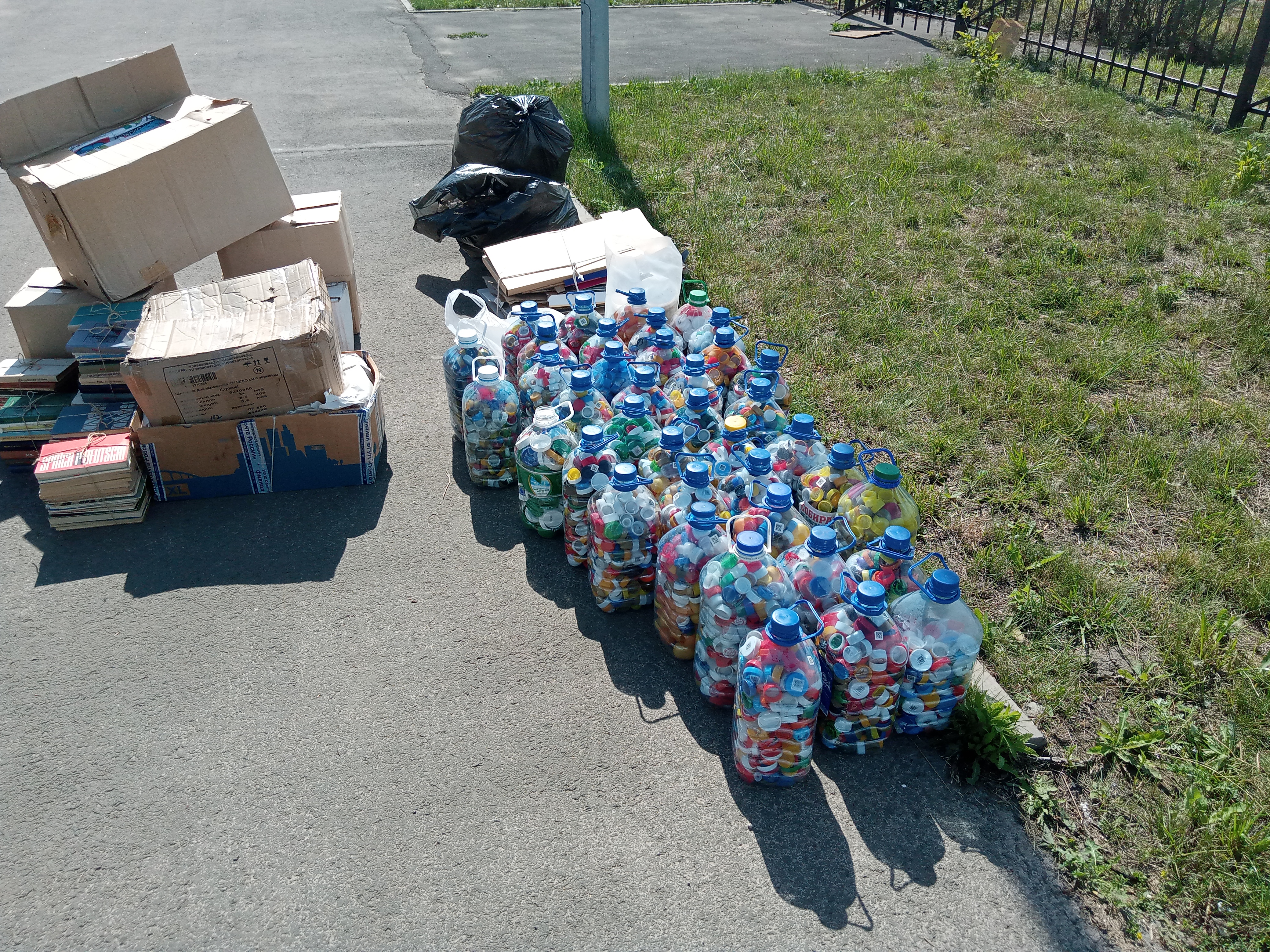 В Братском районе прошла экологическая акция #Скажи_мусору_НЕТ!
