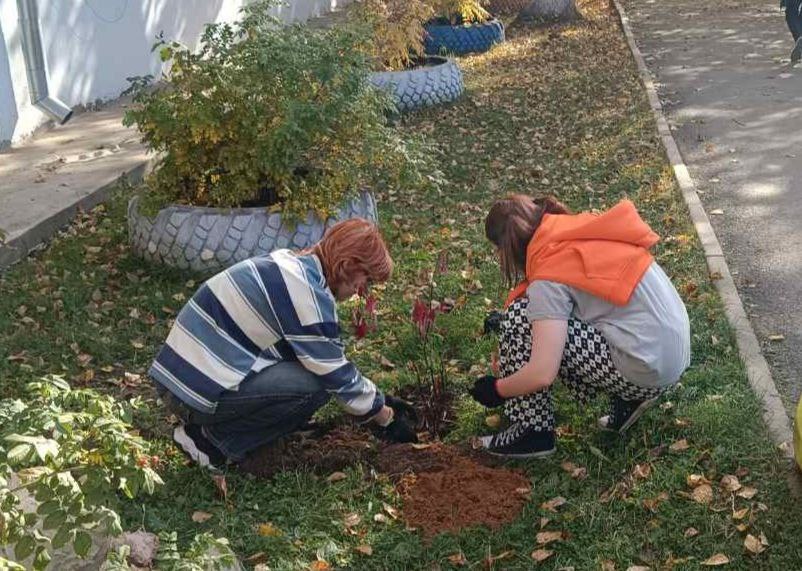 Братский район присоединился к акции «Посади дерево – сохрани природу!»