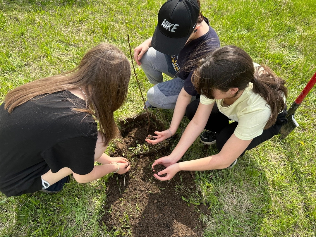 Братский район присоединился к акции «Посади дерево – сохрани природу!»